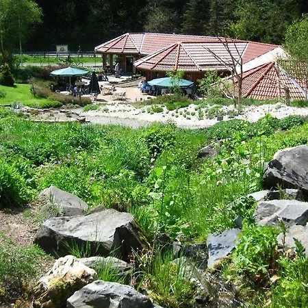 Urlaub-im-haus-nietmann-fw-3 * Altenau (Lower-Saxony)